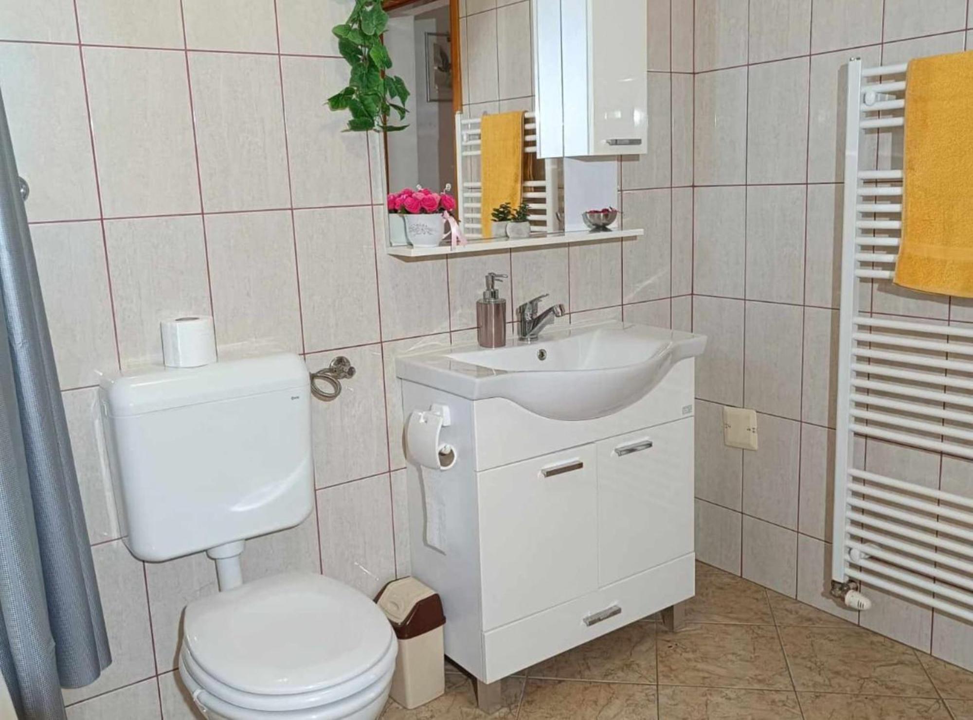 Apartmani Tea I Toni Gradiste Exteriér fotografie